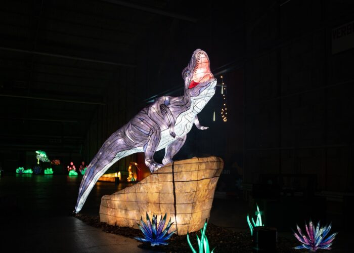 Dino Wunderlight Kalkar