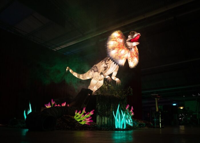 Dino Wunderlight Kalkar