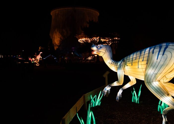 Dino Wunderlight Kalkar